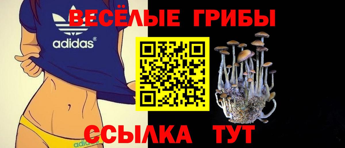Богородск  Псилоцибиновые грибы MAGIC MUSHROOMS  Вход с VPN  дарнет шоп  Псилоцибиновые грибы ЛСД 
